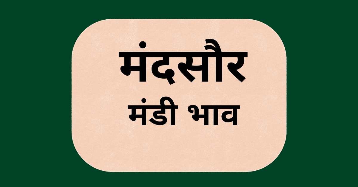 मंदसौर मंडी भाव (Mandsaur Mandi Bhav)
