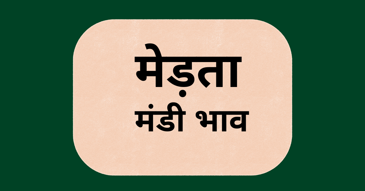 मेड़ता मंडी भाव (Merta Mandi Bhav): जीरा, ग्वार, इसबगोल के आज के भाव ...